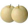 >> Century Pears / Golden Pears