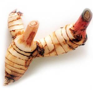>> CASE RATE Galangal