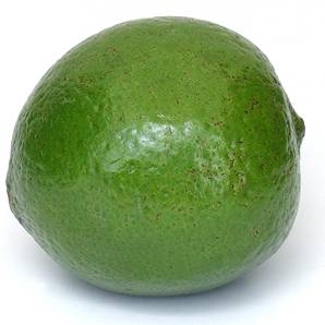 >> Lime