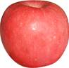 >> FUJI Apples LARGE 6PCS/8PCS