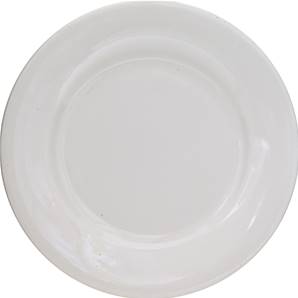 **** CL White Porcelain 9 inch Round Flat