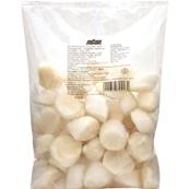 ++++ Scallop Meat 10/20