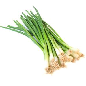 >> Spring Onion Case