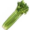 >> Celery