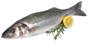 >> CASE RATE Fresh Sea Bass 400/600
