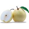 >> CASE RATE: Mountain Pears 10s