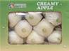 >> CASE RATE: Cream Apple 8s