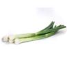 >> Spring Onion Case