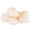 >> Fresh MSC Scallop Meat Roeless USA