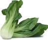 >> CASE RATE Green PAK CHOI