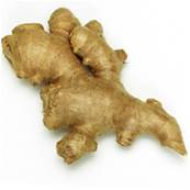 >> CASE RATE Ginger (10)