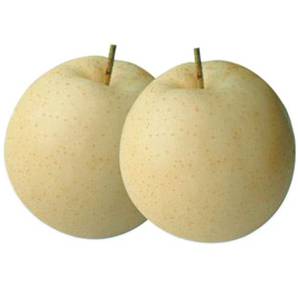 >> Century Pears / Golden Pears