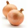 @@ CASE RATE: Spanish Onion