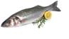 >> CASE RATE Fresh Sea Bass 400/600