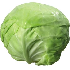 >> CASE RATE Cabbage: White (25)