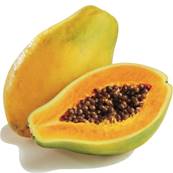 >> Papaya (Large)