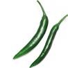 >> CHILLI: Green (Large)