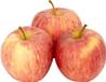>> Fresh Gala Apple 12.5kg