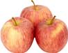 >> CASE RATE Gala Apple 12.5kg