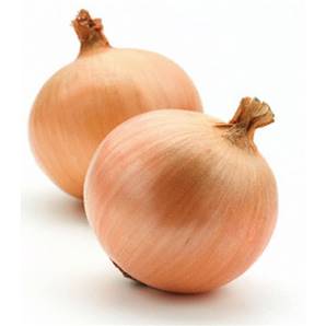 @@ CASE RATE: Spanish Onion