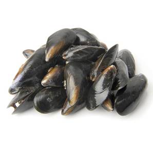 >> Fresh Mussels