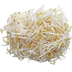 >> CASE RATE: Fresh Bean Sprouts