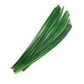 >> Pandan Leaf