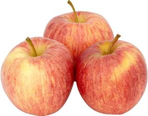 >> Fresh Gala Apple 12.5kg