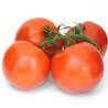 >> Cherry Tomato