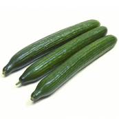 >> Cucumber Case