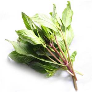 >> LOOSE RATE Holy Basil