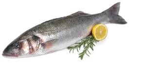 >> CASE RATE Fresh Sea Bass 400/600
