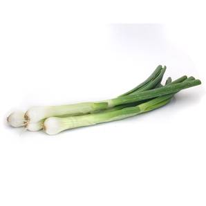 >> Spring Onion Case