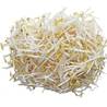 >> CASE RATE: Fresh Bean Sprouts