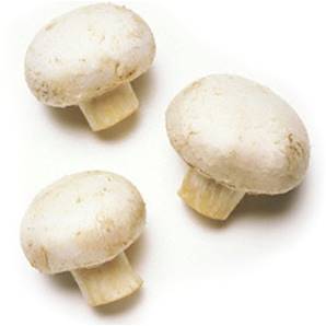 >> Fresh Mushrooms